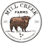 images-removebg-preview