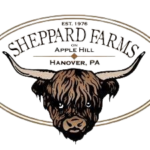 images__1_-removebg-preview